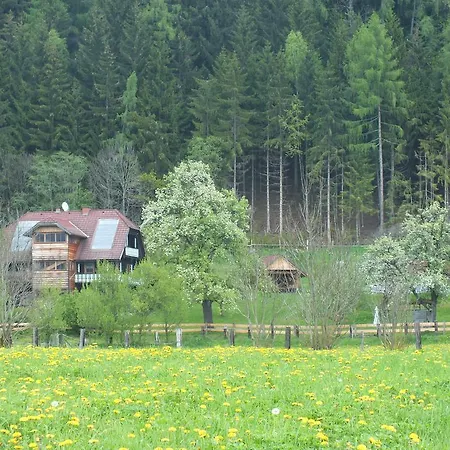 Ferienwohnung Steurer Hof Liebenfels Exterior foto