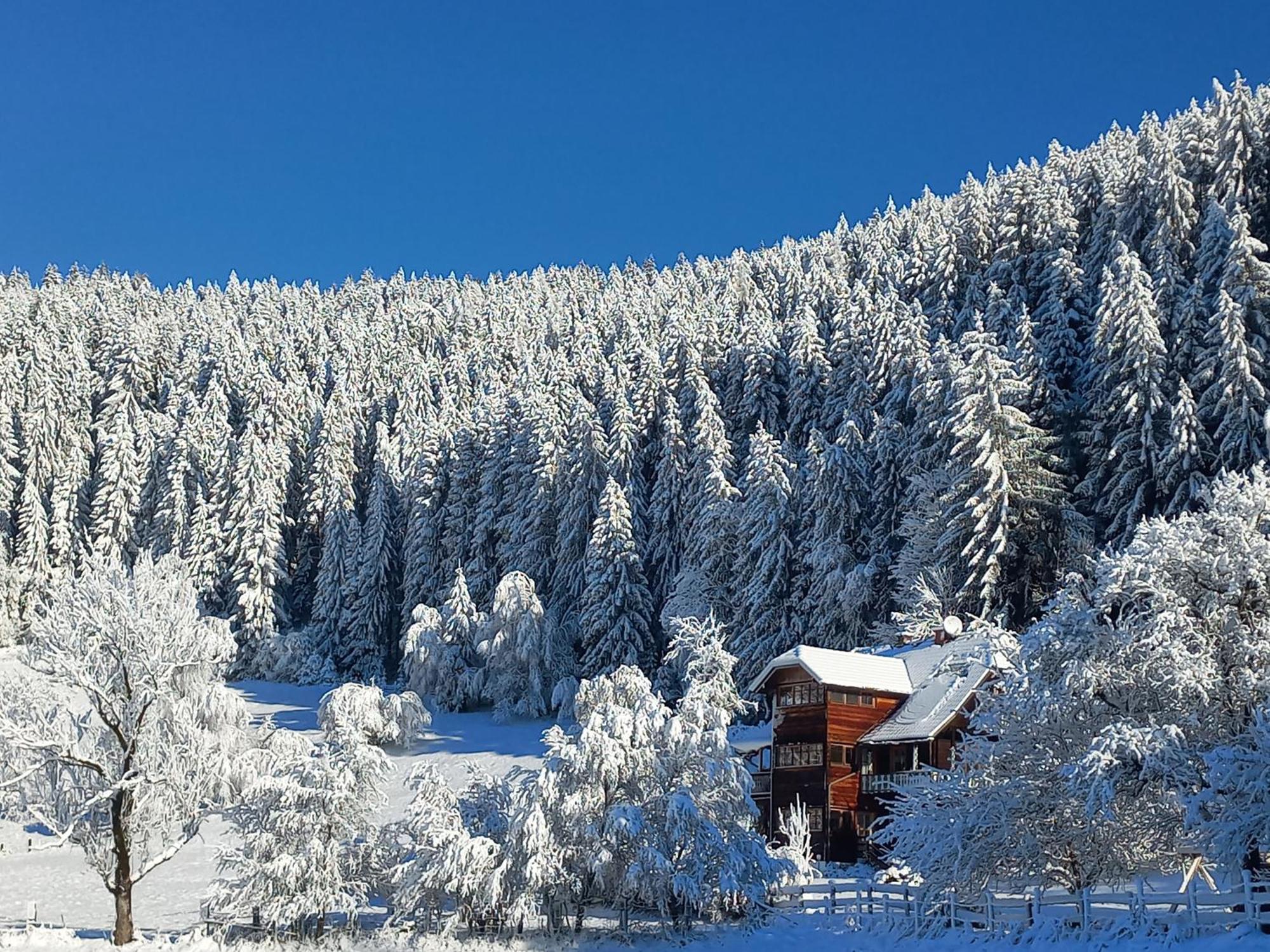Steurer Hof Liebenfels