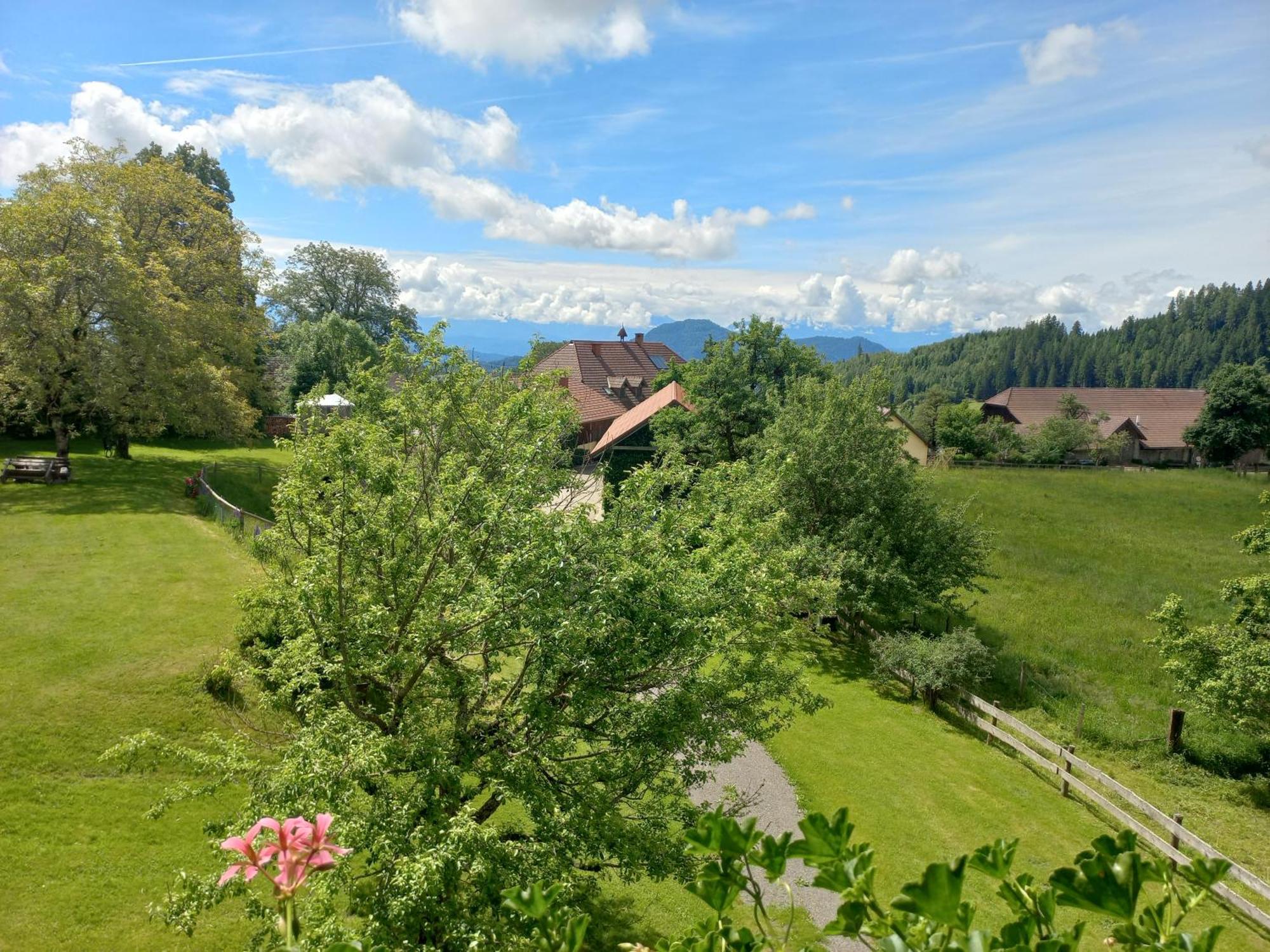 Steurer Hof Apartment Liebenfels