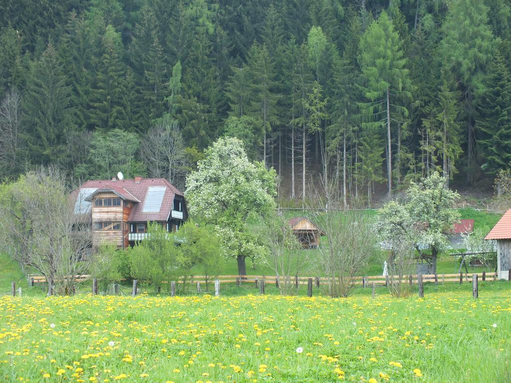 Apartment Steurer Hof *