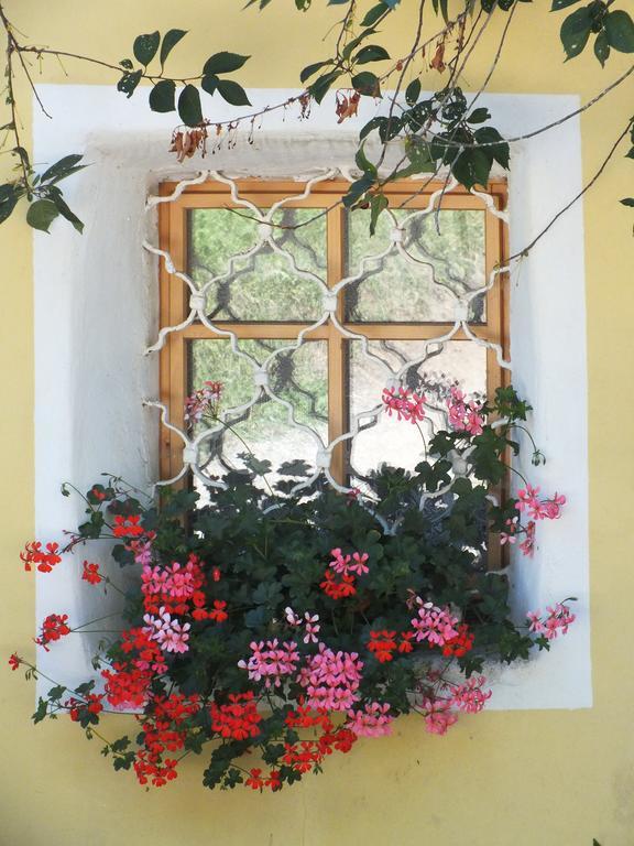 Appartement Steurer Hof *